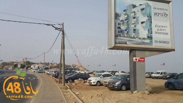 mashrooo3 sakana (3).jpg